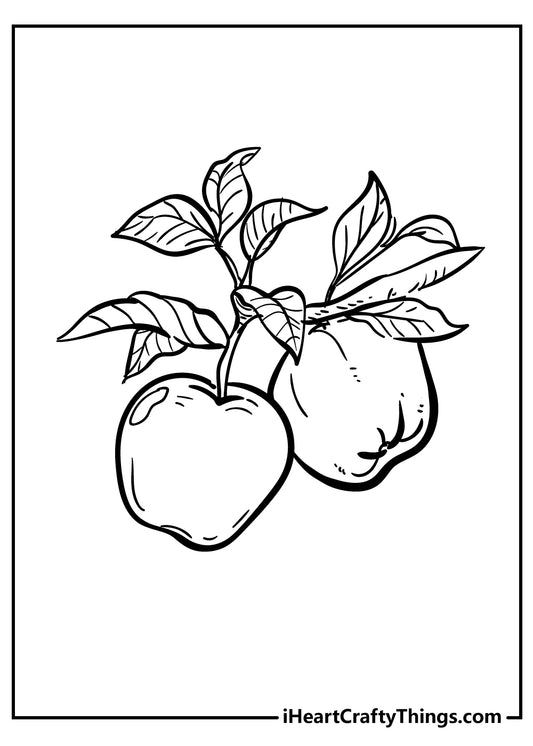 Apple Coloring Book - 15 pages