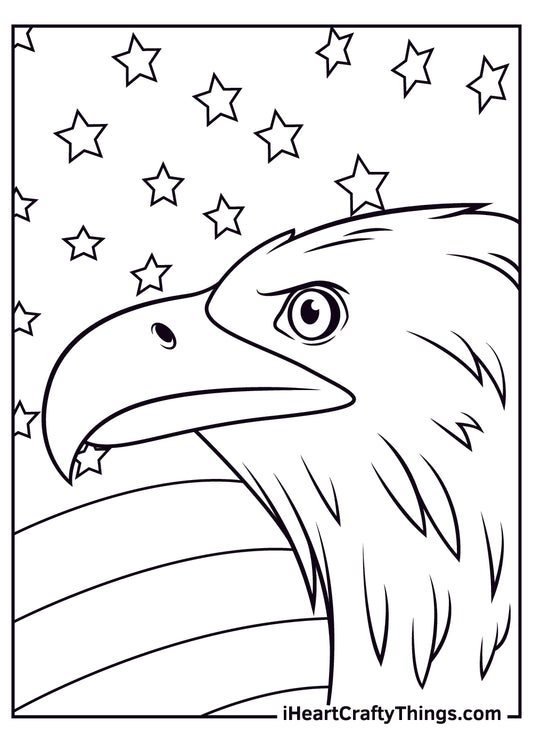 Bald Eagle Coloring Book - 15 pages