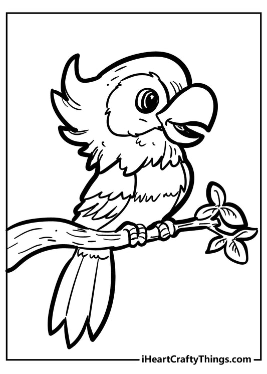 Bird Coloring Book - 44 pages