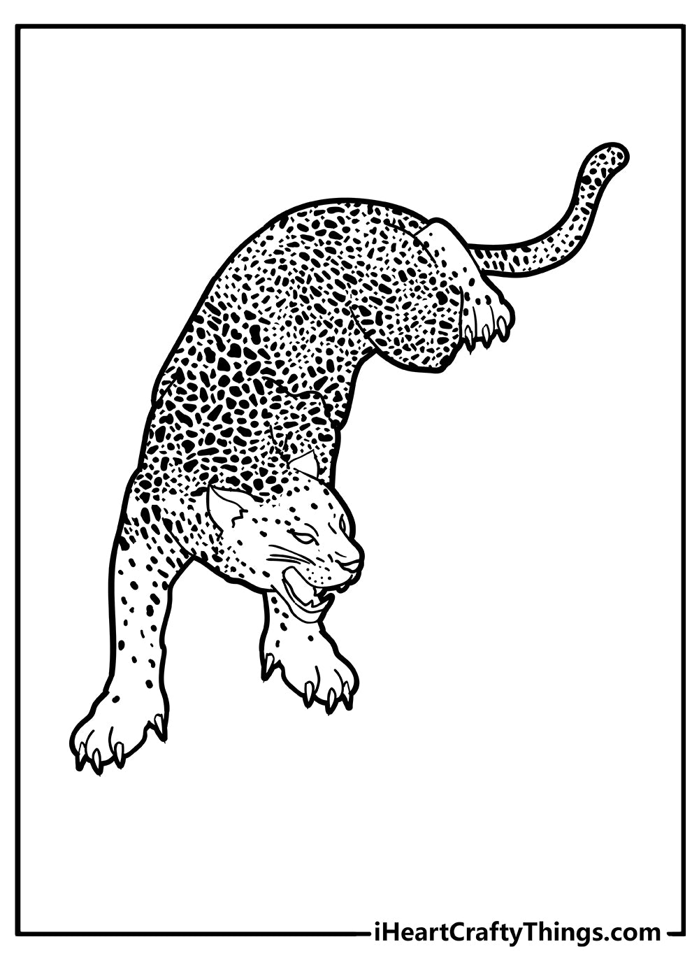 Cheetah Coloring Book - 25 pages