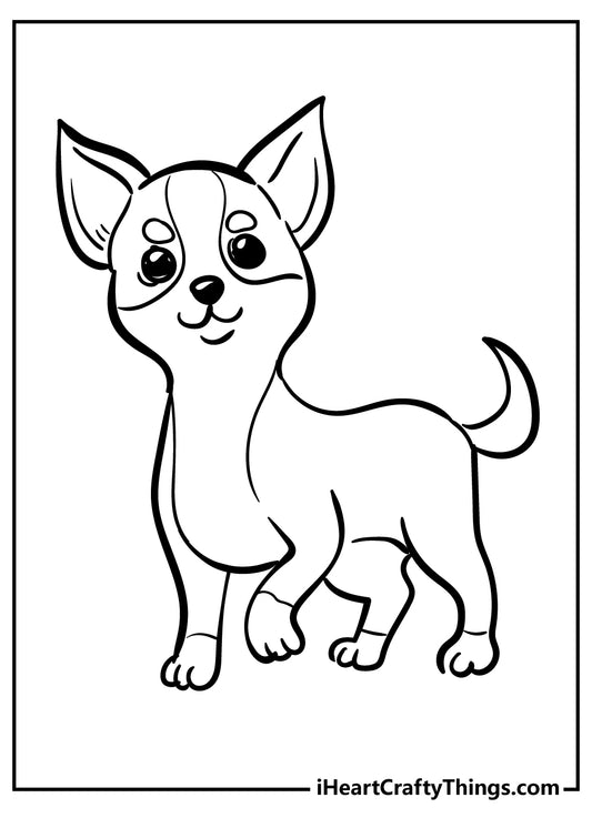 Chihuahua Coloring Book - 15 pages