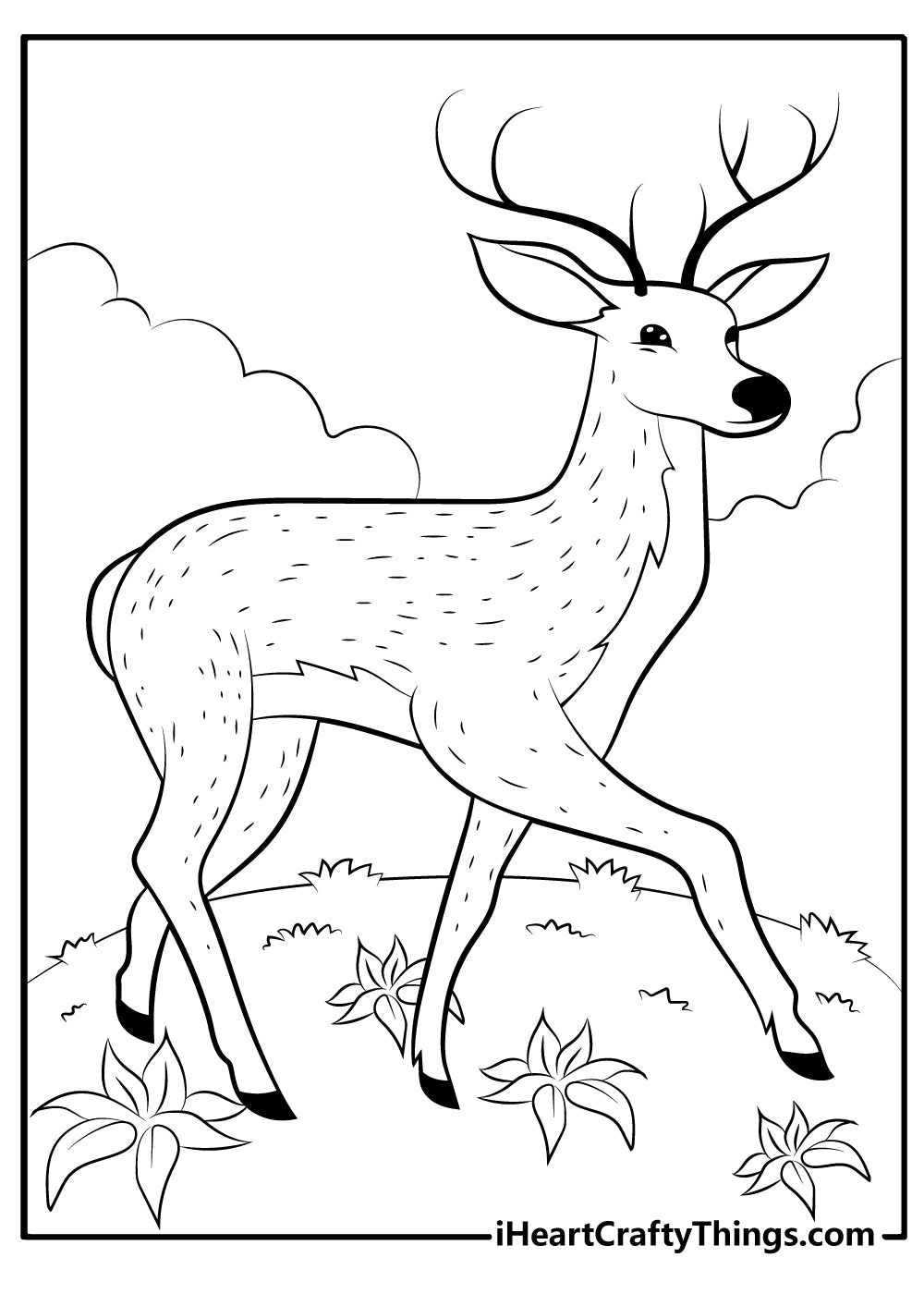 Deer Coloring Book - 15 pages