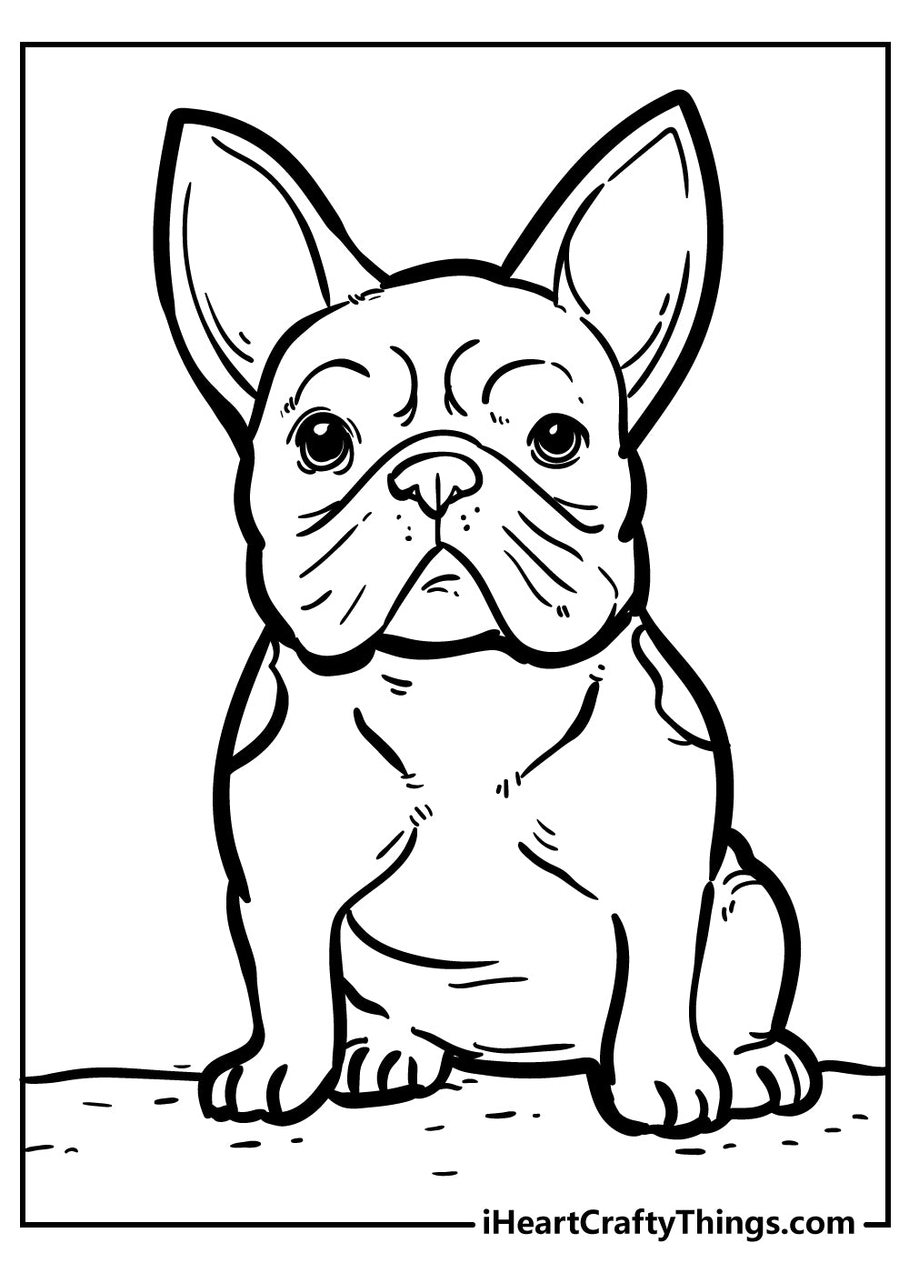 Dog Coloring Book - 55 pages