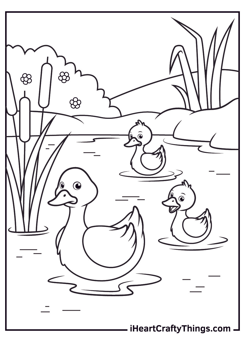 Duck Coloring Book - 15 pages