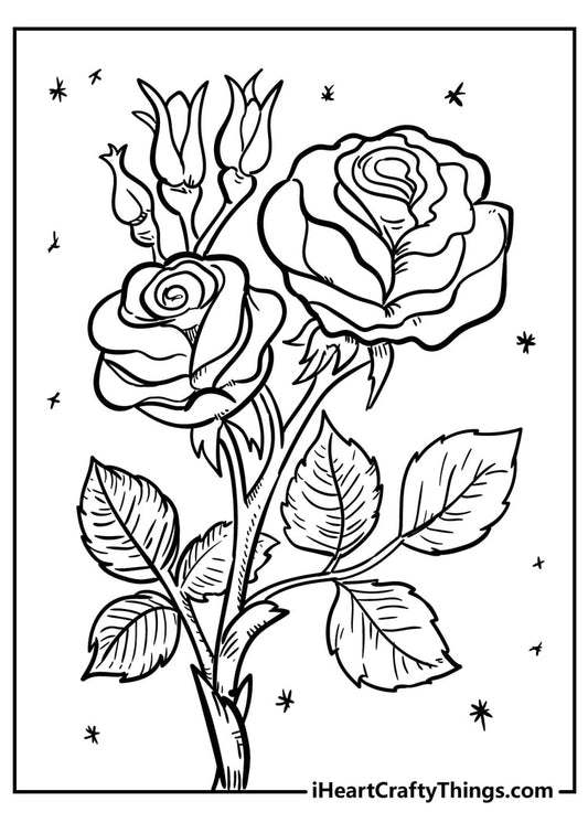 Flower Coloring Book - 53 pages