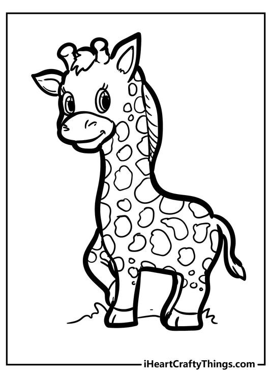 Giraffe Coloring Book - 40 pages