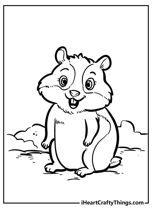 Hamster Coloring Book - 15 pages