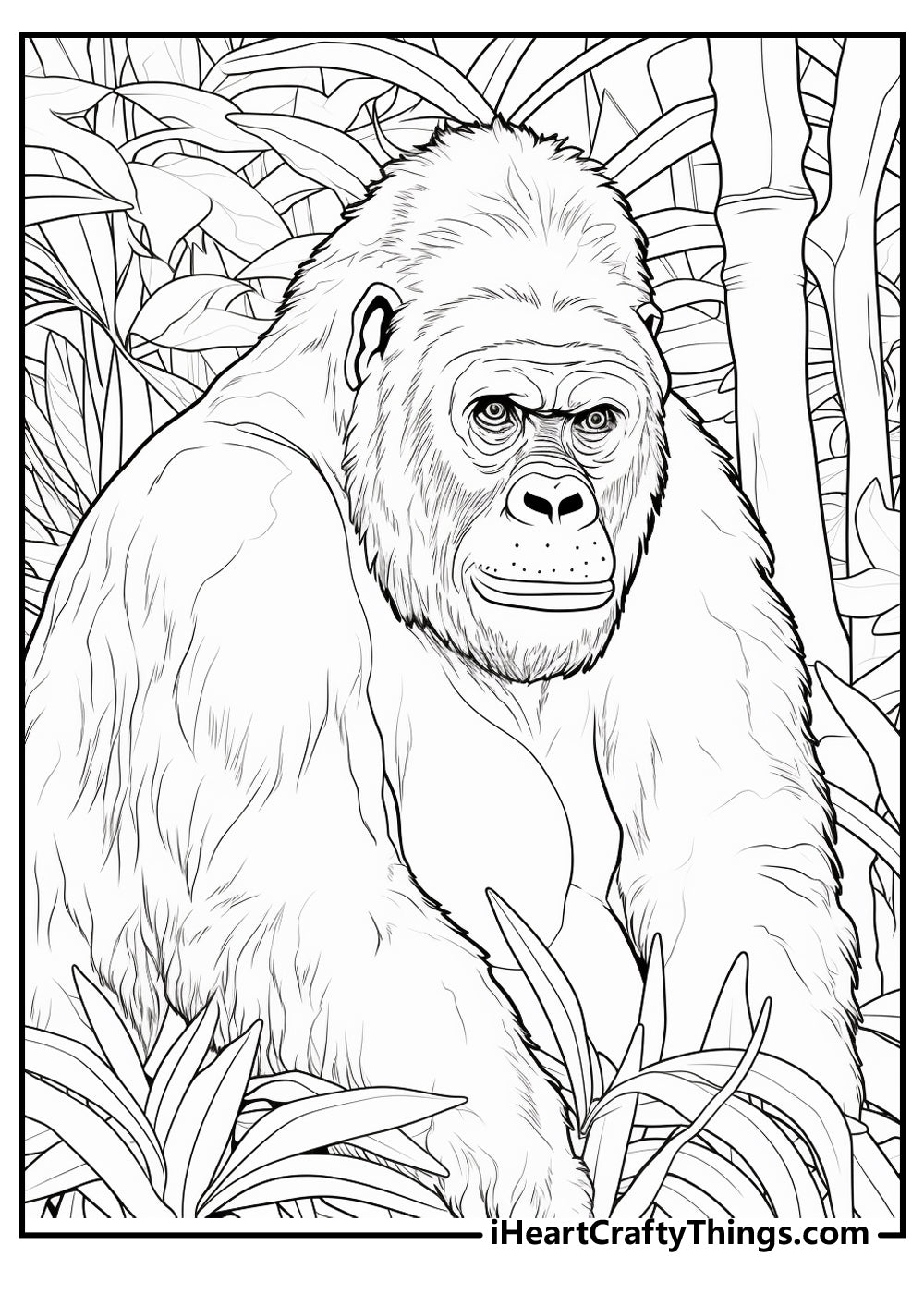 Jungle Coloring Book - 15 pages