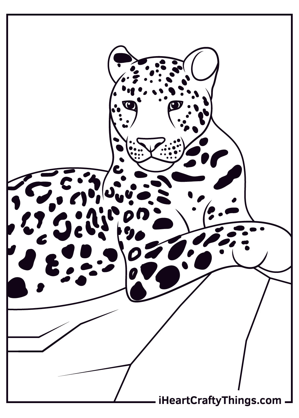 Leopards Coloring Book - 19 pages