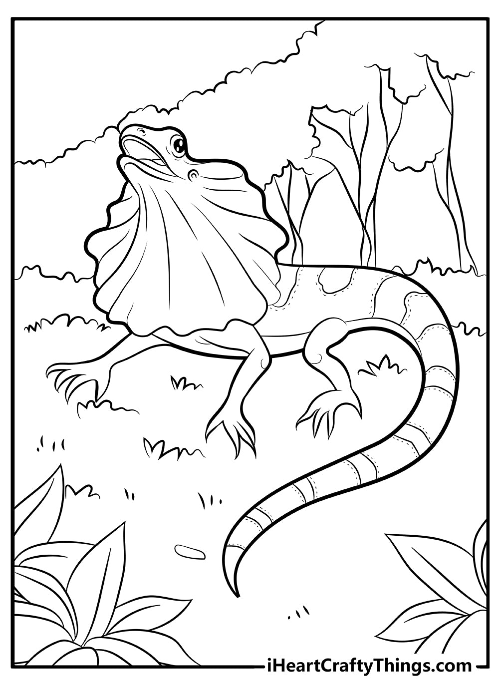 Lizard Coloring Book - 15 pages