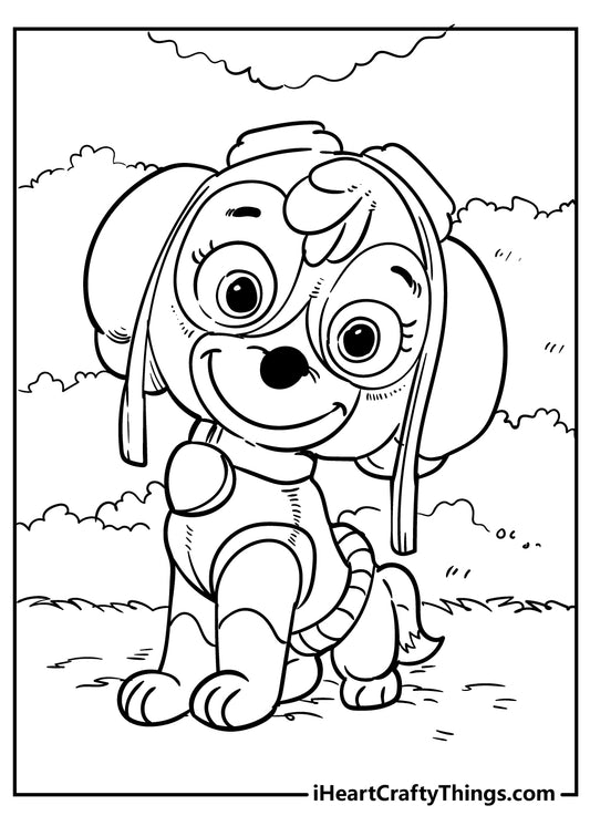 Paw Patrol Coloring Book - 45 pages