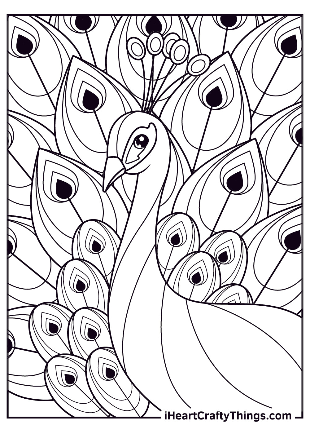 Peacocks Coloring Book - 15 pages