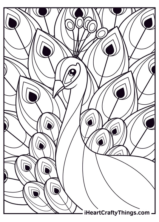 Peacocks Coloring Book - 15 pages