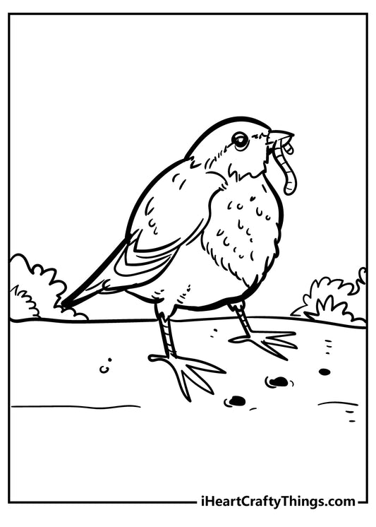 Robin Coloring Book - 15 pages