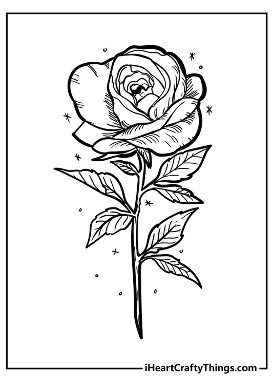 Rose Coloring Book - 35 pages