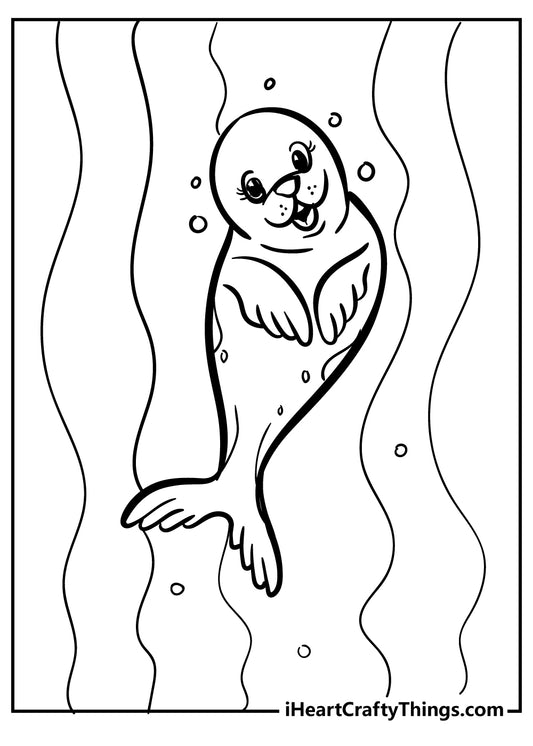 Seal Coloring Book - 15 pages