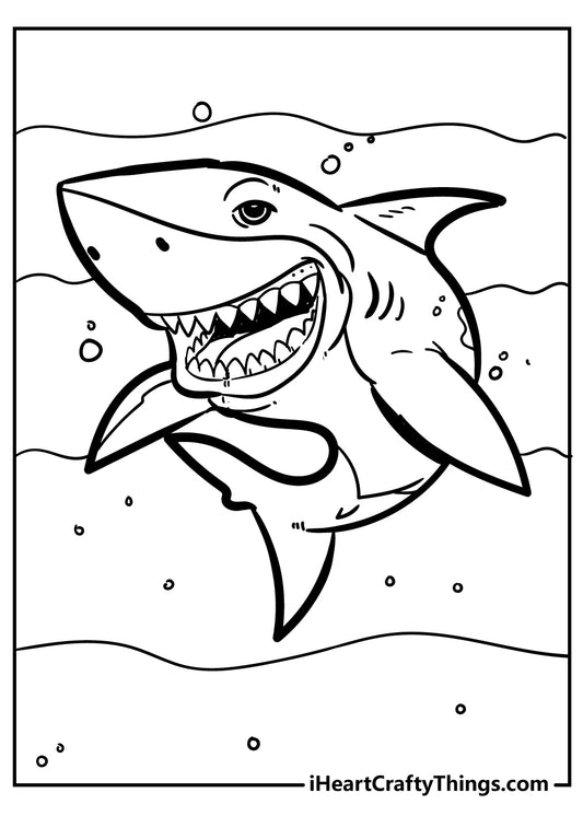 Shark Coloring Book - 45 pages