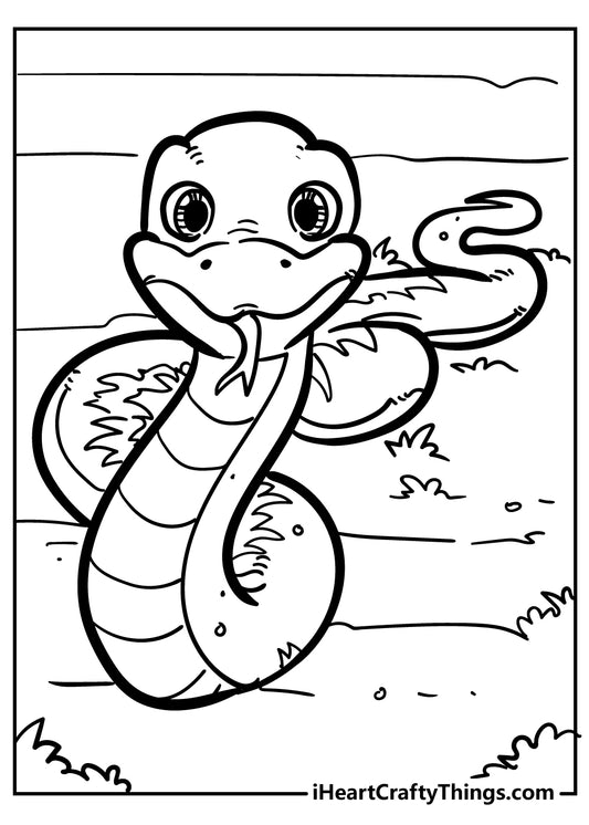 Snake Coloring Book - 30 pages