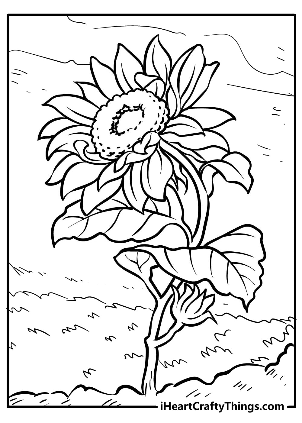 Sunflower Coloring Book - 35 pages