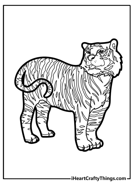 Tiger Coloring Book - 37 pages