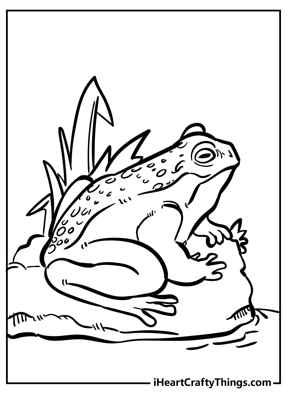 Toad Coloring Book - 15 pages