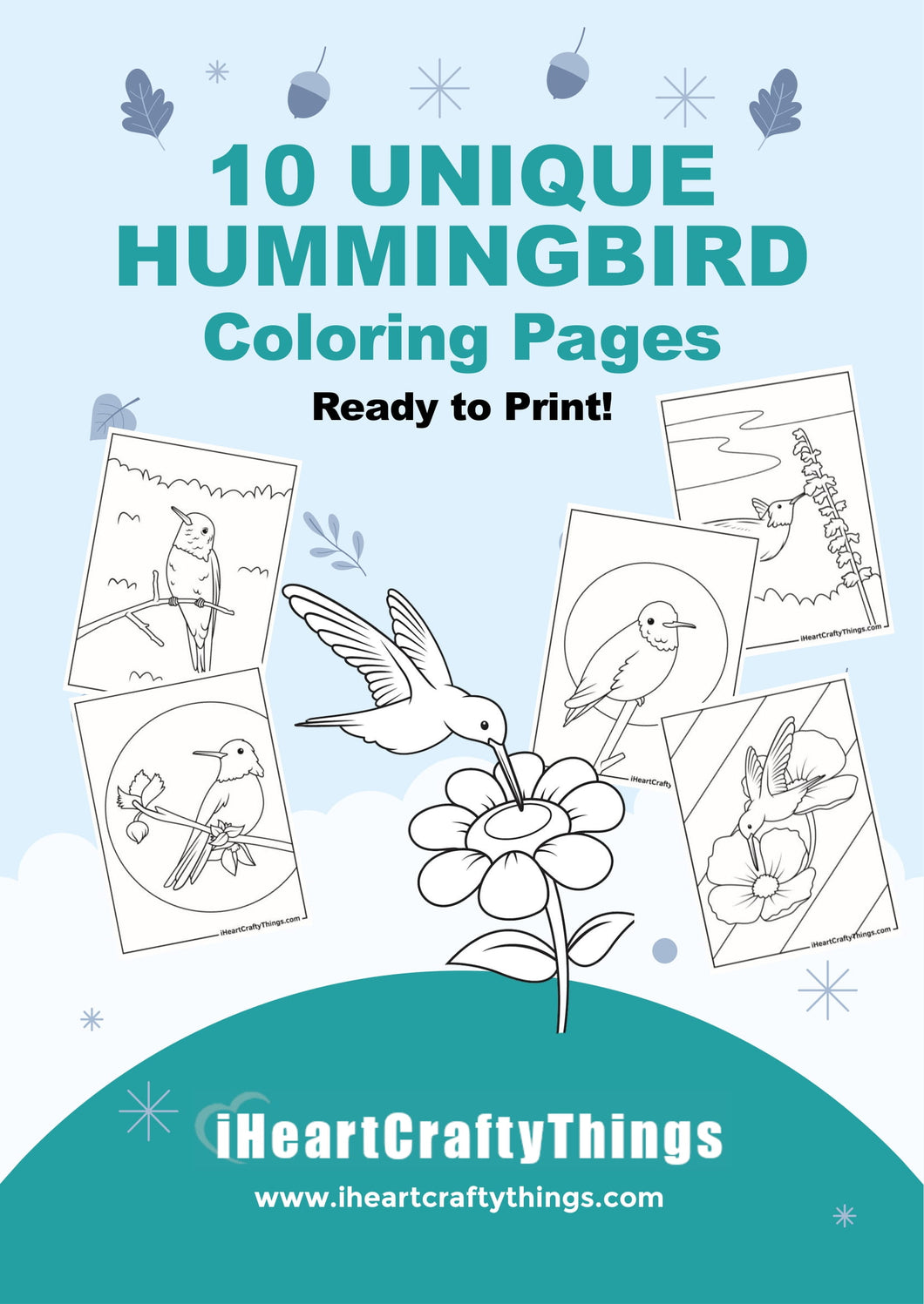 10 HUMMINGBIRD COLORING PAGES