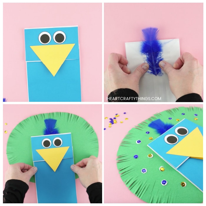 Peacock Puppet Craft